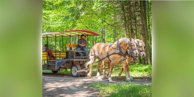 Horse-Drawn Trail Ride.