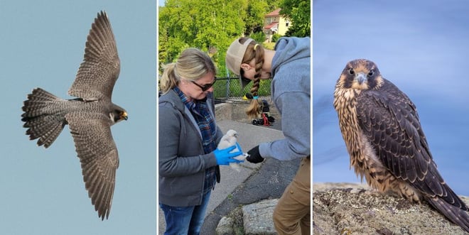 Event Featured Image