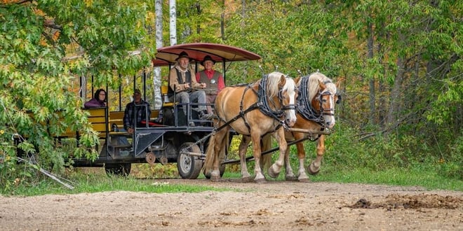 Horse-Drawn History Tour.