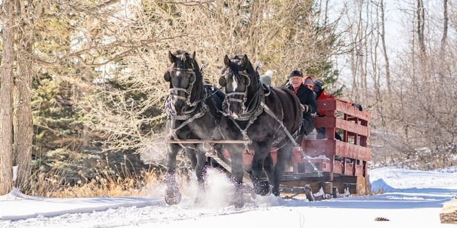 Winter Sleigh Rides.