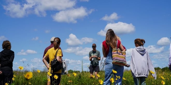 Pressing Plants with Bell Museum Botanists.