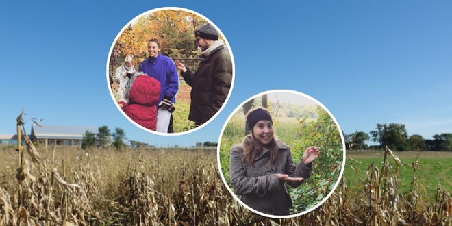 Fall Foraging for Wild Edibles.