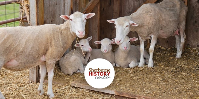 Farm Adventures with the Sherburne Historical Society.