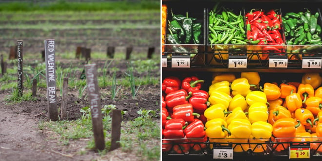 From Farm to Supermarket.