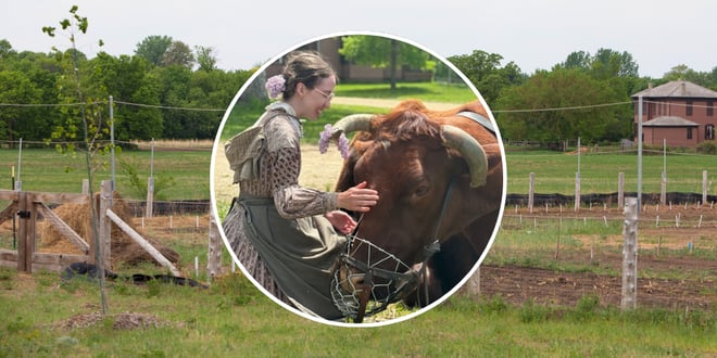 Springtime on the Farm.