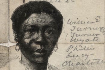 Learn about enslaved African Americans and their fight for freedom