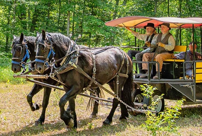 Horse-Drawn Trolley Tours.
