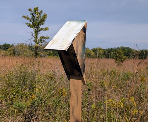 Peterson bluebird nest box in Frontenac State Park