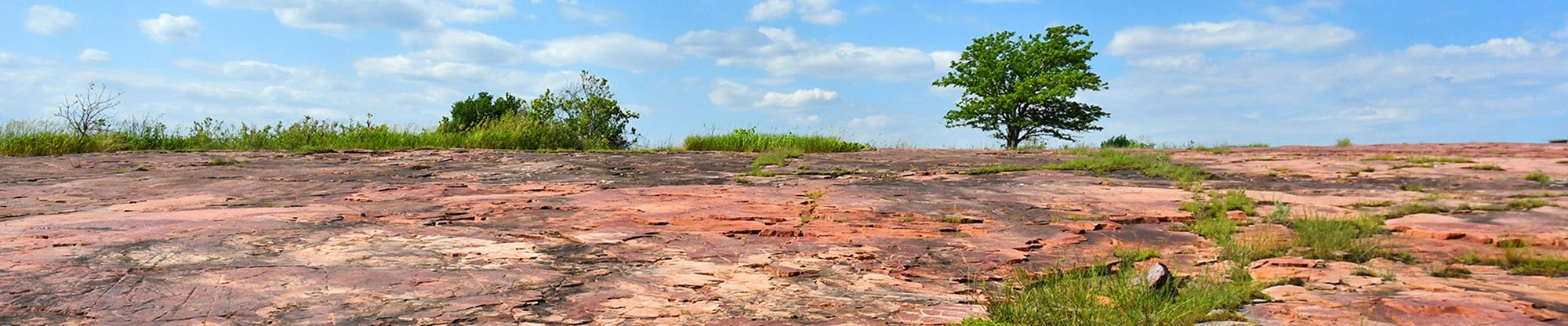 Jeffers Petroglyphs.