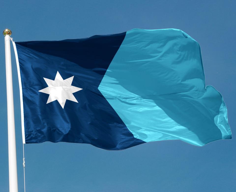 Minnesota State Flag.