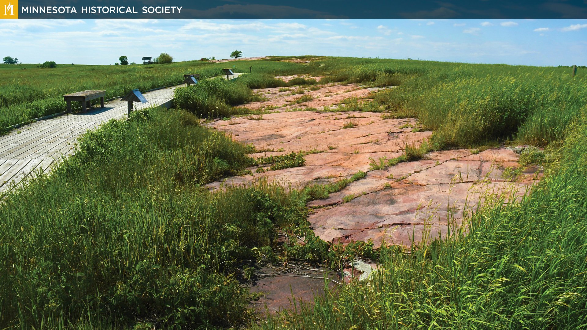 mnhs_zoom_backgrounds_jpg