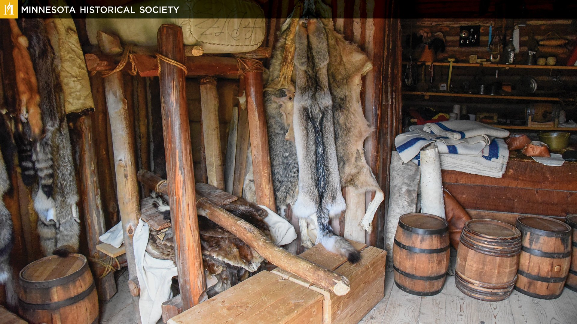 mnhs_zoom_backgrounds_sfp