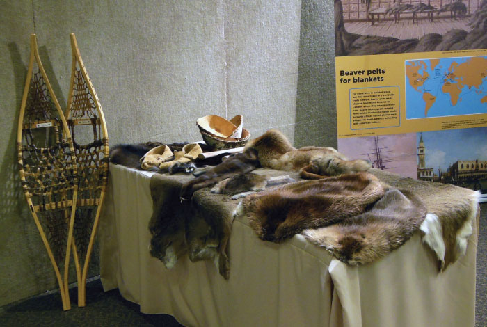 Animal pelts lay on a table with snowshoes propped against the wall.