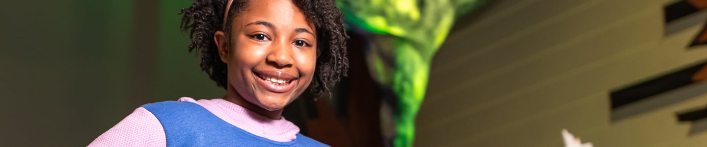 Minnesota History Center Museum Lessons Minnesota History Center Museum Lessons