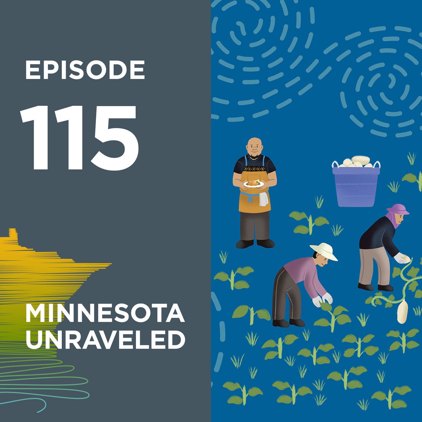 Minnesota Unraveled.