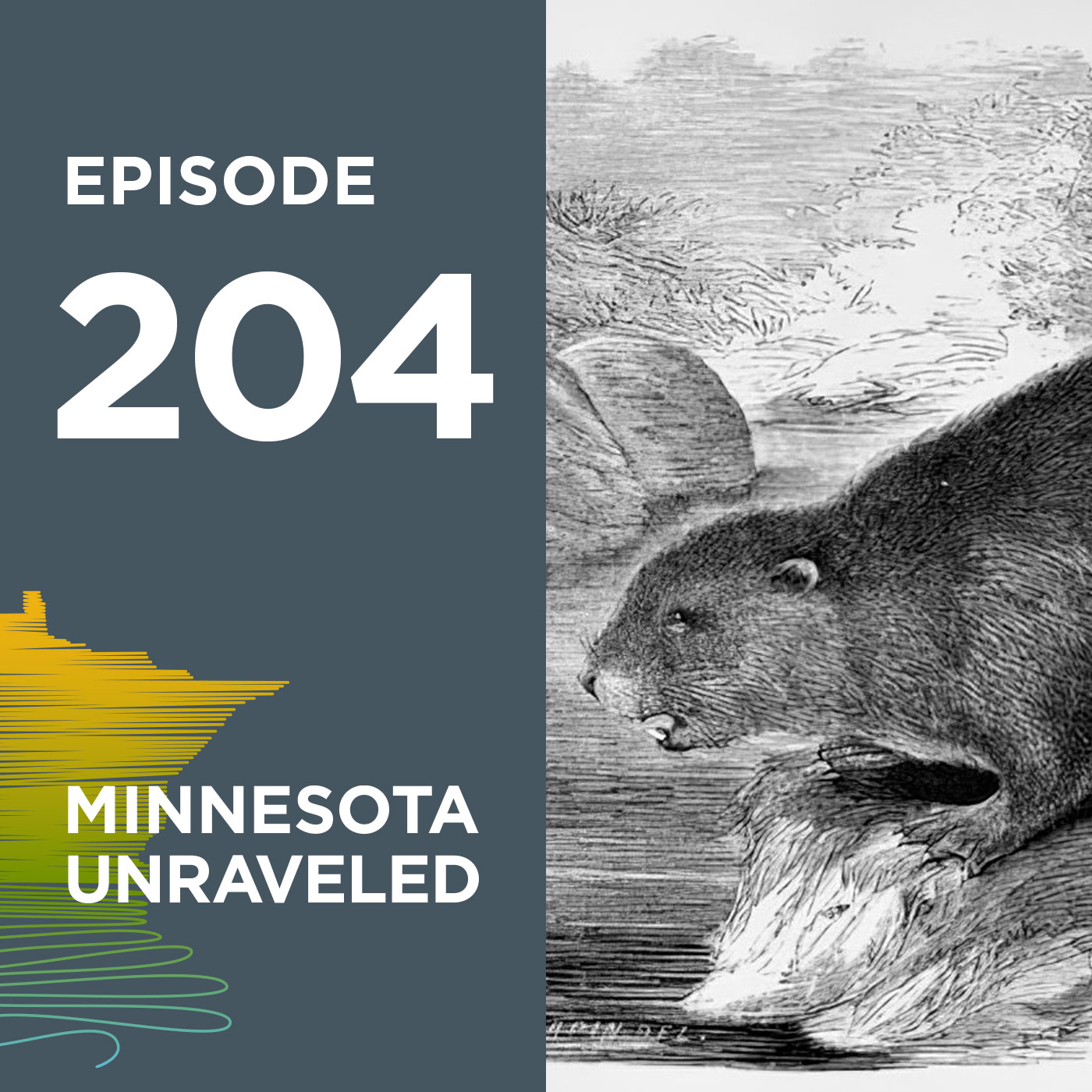 Minnesota Unraveled.