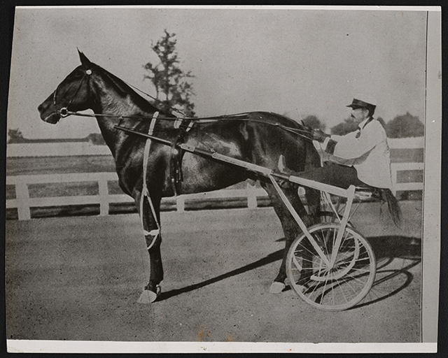 Dan Patch and driver