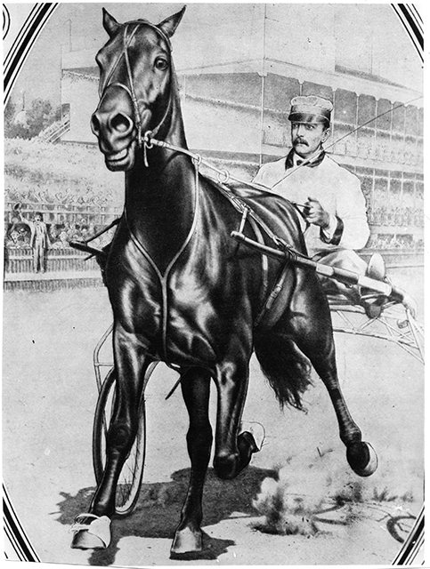 Dan Patch and driver