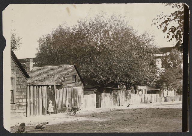 Homes in Bohemian Flats, ca. 1902