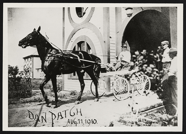Dan Patch