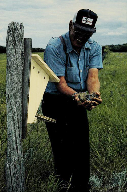 John Rominsky with bluebird nestlings