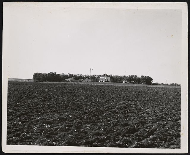 Black and white photograph of a farm in windbreak near Lamberton, Redwood County, 1936. Photograph by Napoleon Noel Nadeau.