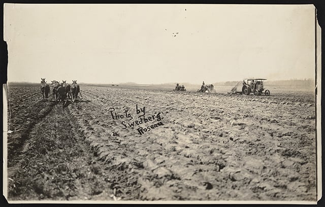 Black and white photograph of a horse and tractor farming in Roseau County, ca. 1920.