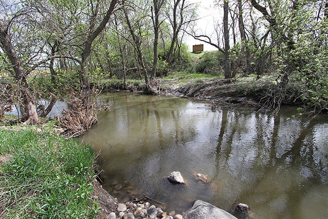 Creek with a grassy bank on the left and trees in the background.