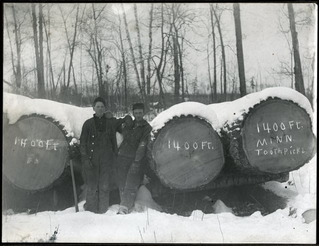 Two laborers pose between two giant felled trees resting on wooden supports on the ground, with a third fallen tree at right and leafless trees in the background.