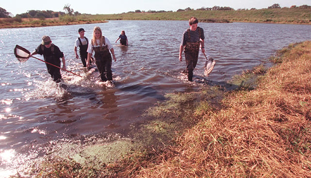 Three people carrying fishing nets walk through ankle-deep water (waist-deep in the middleground). There is shoreline at the front-right corner and in the background.