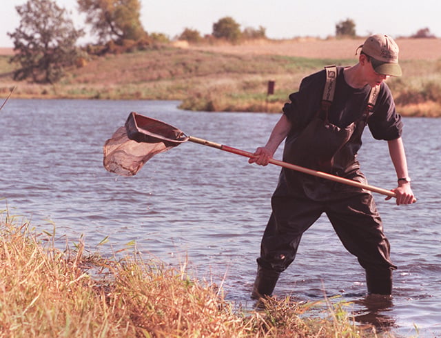 A young man wearing a basketball cap, waders, and a pushed-up, longsleeve shirt walks through ankle-deep water holding a fishing net.