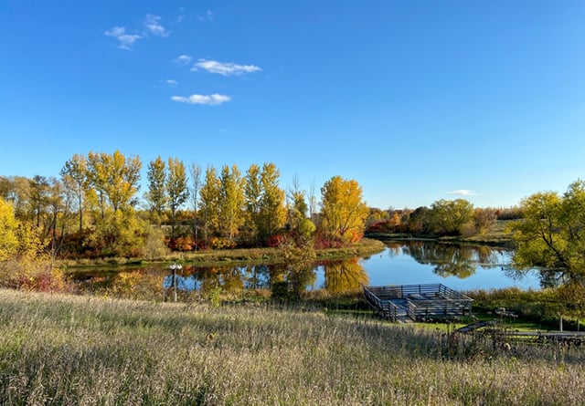 A pond reflecting green and yellow trees, with a grassy foreground and a blue sky in the background.