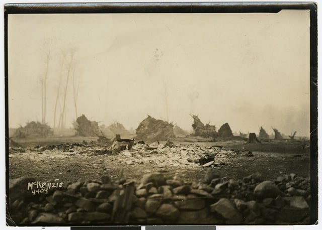 Piles of rocks sit close to the pictures plane. Behind them are more rocks and an ashy, barred landscape, with ghostly, leafless trees at center left.