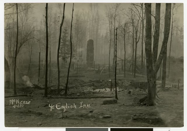 The charred remains of a forest, with a pillar (perhaps the remains of a wall of a building) rising in the center.