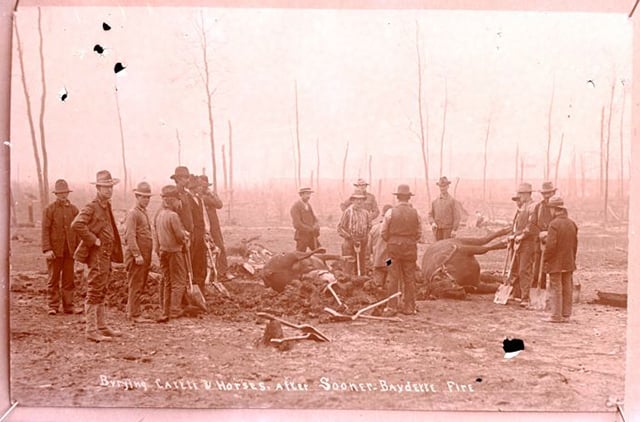 In a pink-toned image, men stand around the bodies of dead cows and horses, with charred earth around them and burned trees behind them.