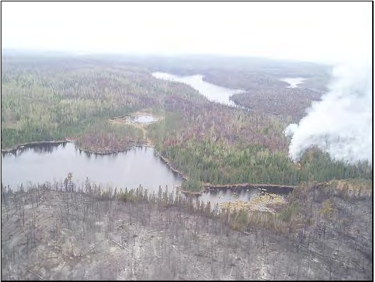 A bird's-eye view of a landscape shows areas charred by fire along a river, with unburned areas at center and at left. A plume of smoke rises from the ground at center right.