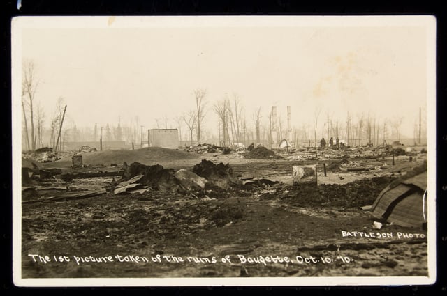 Indistinguishable, charred remains lie across a dirt landscape, with leafless trees in the background below a light-yellow sky.
