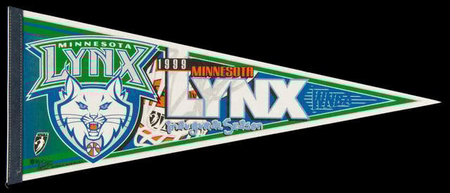 Triangular fabric against a black background. The fabric is blue, white, green, and red, and has the Lynx team logo.