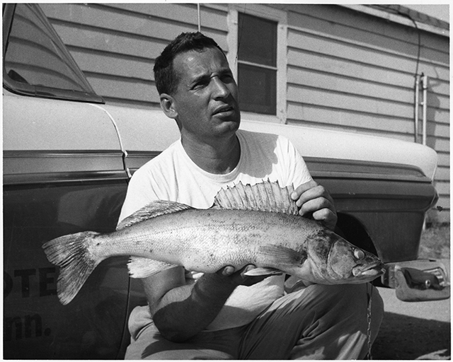 A man in a white t-shirt crouches in front of a parked car to hold up a fish in his hands.