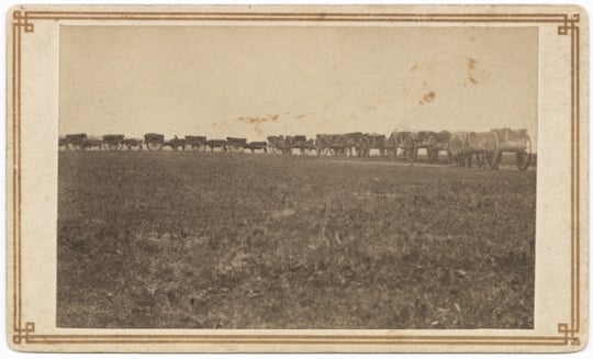 Black and white photograph of an ox-cart train on a Red River trail, ca. 1860.