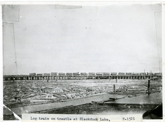 Minnesota and International Railway trestle bridge at Blackduck