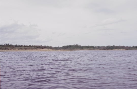 Northwest end of Northwest Angle Inlet, Lake of the Woods