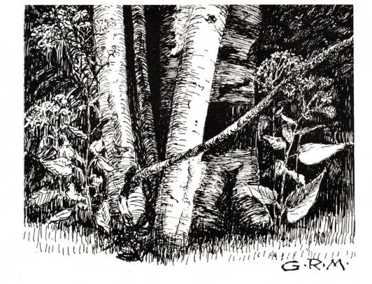 “Birch and Wildflowers”