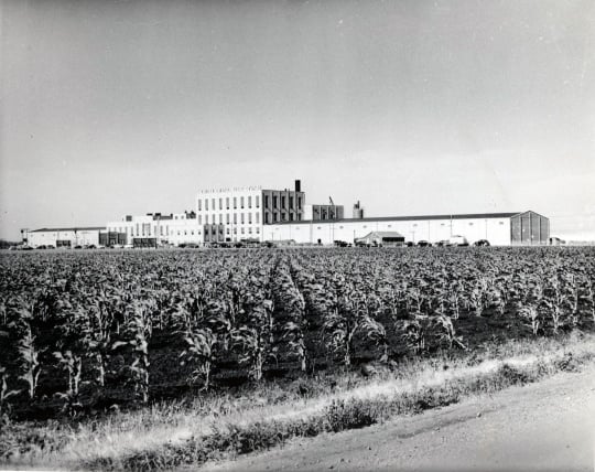 American Crystal Sugar factory, Moorhead
