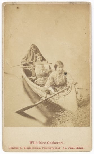 Photograph of Ojibwe women harvesting wild rice c.1885.