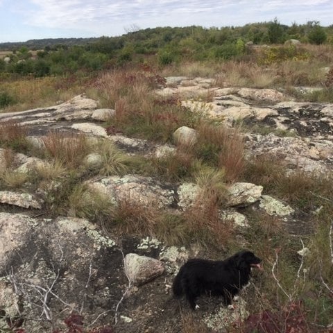 Color image of an outcrop of gneiss in Morton, 2016. Photograph by Paul Nelson.