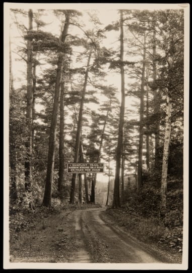 Road sign warning of “narrow, winding, hilly road, 25 miles per hour” along the Gunflint Trail. Photograph by R. O. Fletcher, ca. 1925.