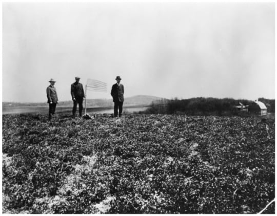 Site of the discovery of the Kensington Runestone