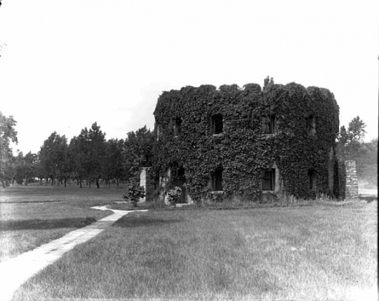 Black and white photograph of the Round Tower covered in vegetation,1915. Photograph by C. J. Hibbard.