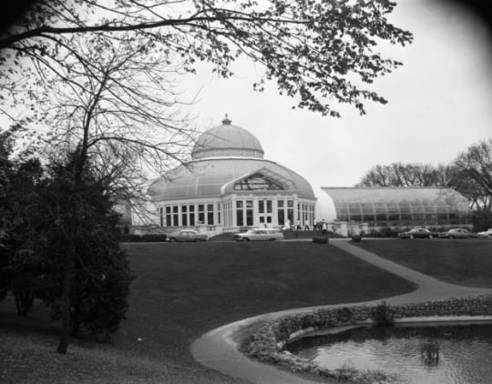 Black and white photograph of Como Conservatory exterior, 1964.
